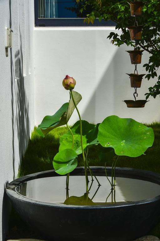 Begonia B&B Taitung Exterior photo